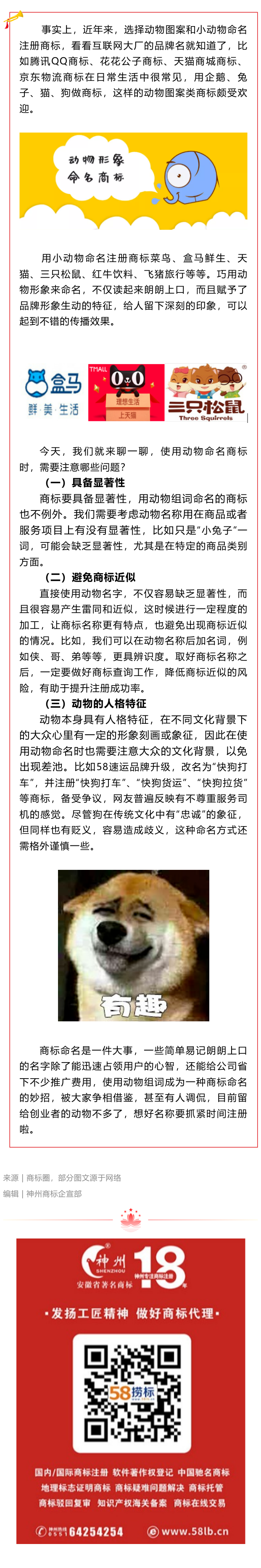 選擇小動物命名商標(biāo)，需要注意什么呢？